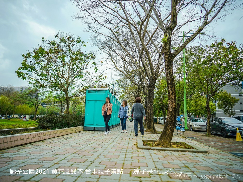 廍子公園2021 黃花風鈴木 台中親子景點