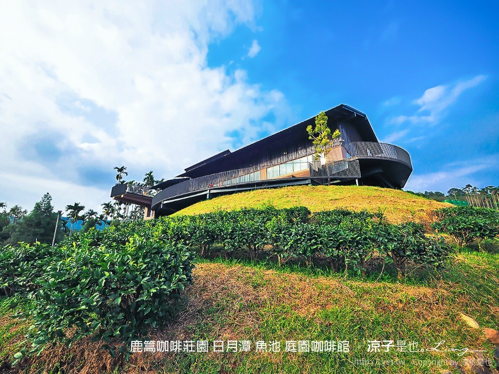 鹿篙咖啡莊園 日月潭 魚池 庭園咖啡館