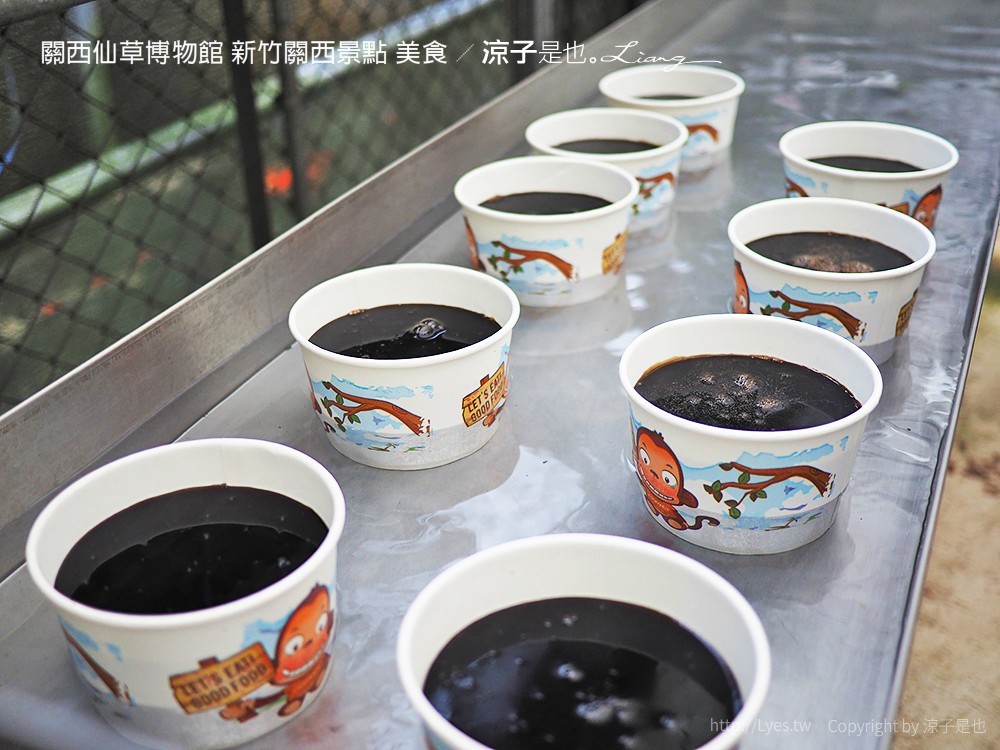 關西仙草博物館 新竹關西景點 美食