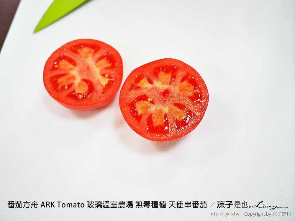 番茄方舟 ARK Tomato 玻璃溫室農場 無毒種植 天使串番茄