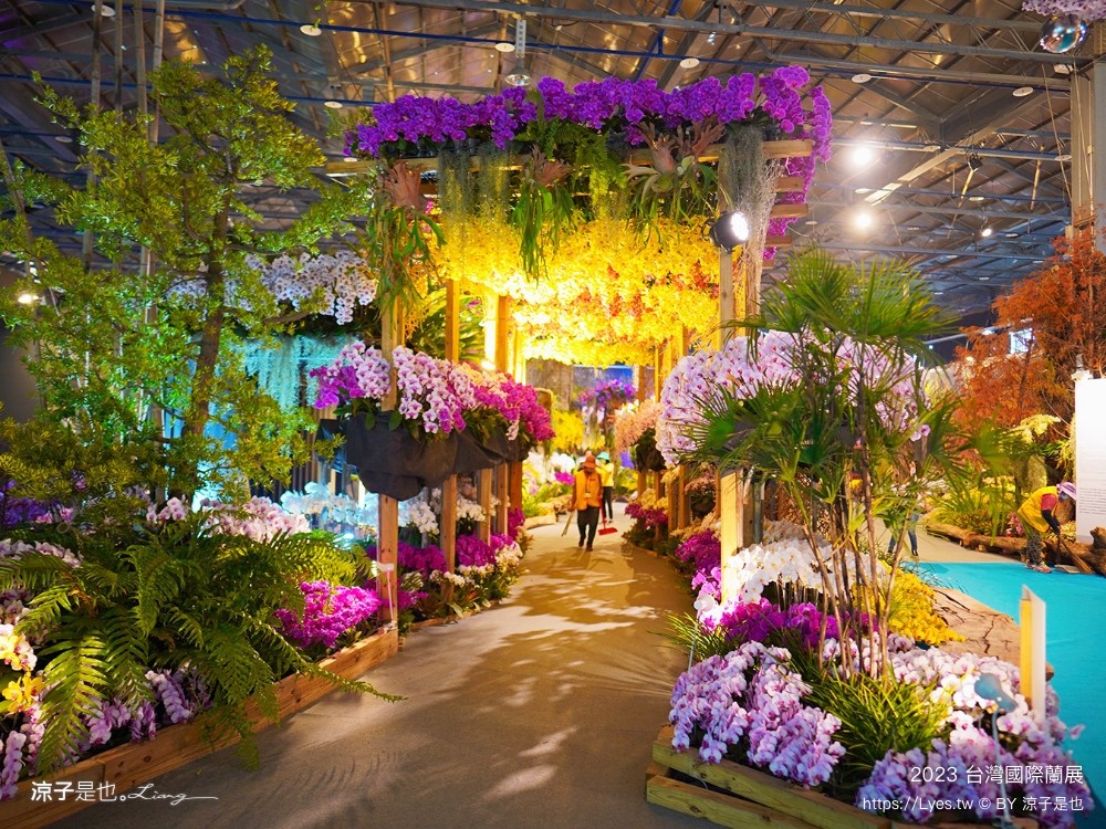 台灣國際蘭展 門票 2023時間 台南景點 魔境 恐龍 親子diy 必看亮點 台南限定蘭花
