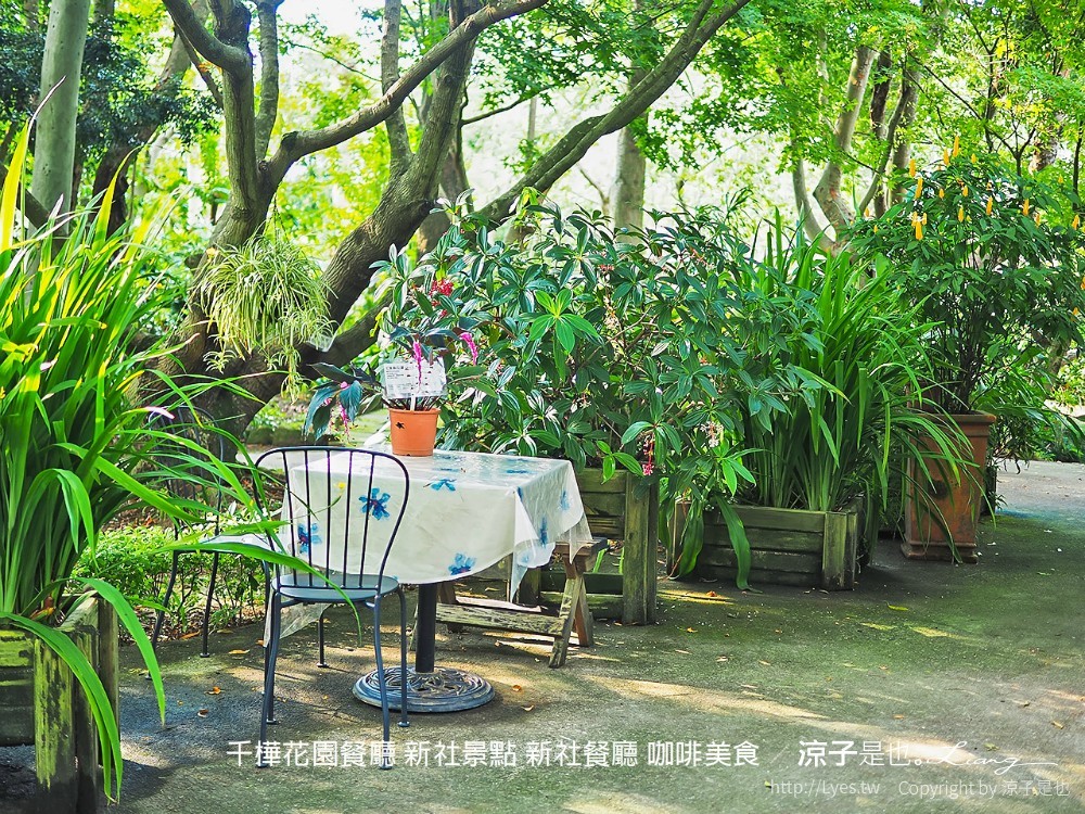 千樺花園餐廳 新社景點 新社餐廳 咖啡美食