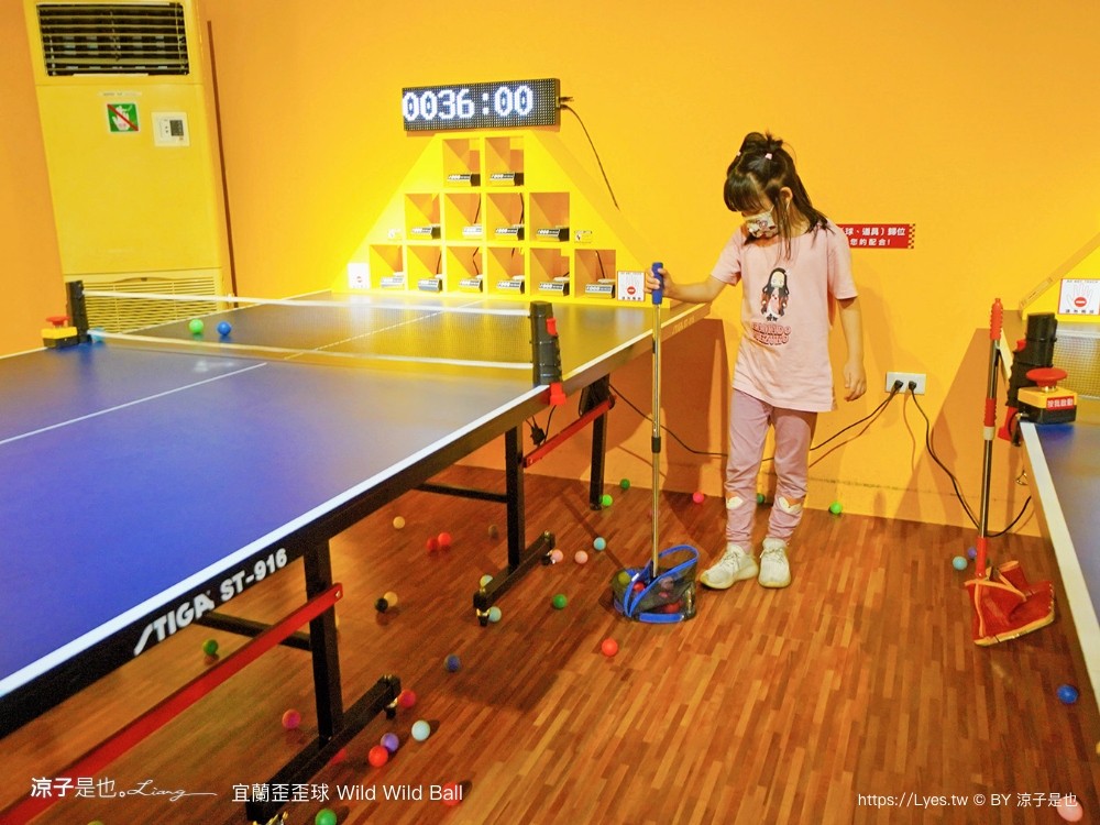 優惠 真人彈珠檯 創意球類運動 宜蘭室內景點 親子景點 蘇澳景點 停留時間 wild ball