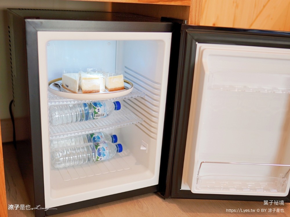 葉子祕境 南投埔里民宿 森林住宿 豪華懶人 netflix disney 日月潭 早餐 晚餐