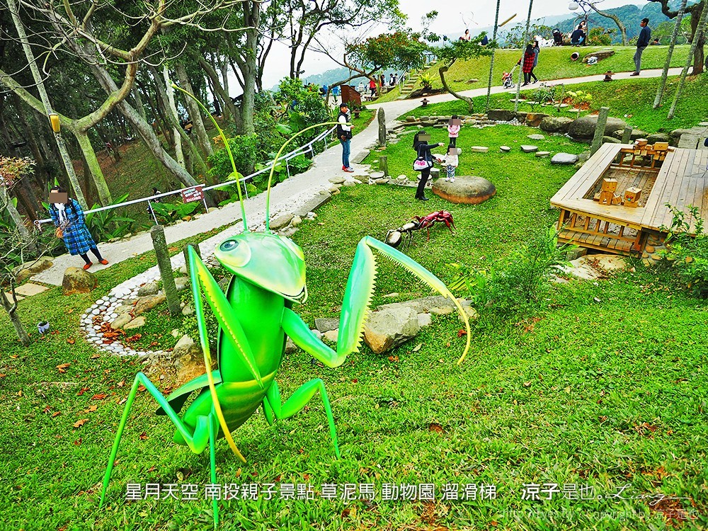 星月天空 南投親子景點 草泥馬 動物園 溜滑梯