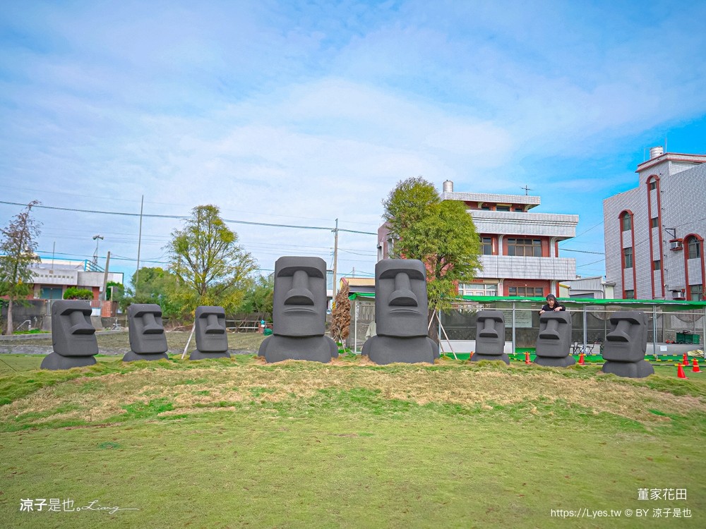 董家花田 菜單 門票 景點 彰化景點 田尾景觀餐廳 花海 戶外野餐 咖啡 交通