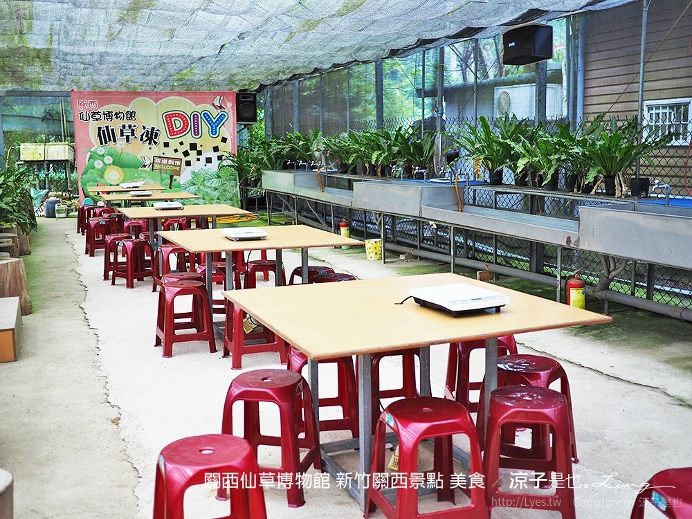 關西仙草博物館 新竹關西景點 美食