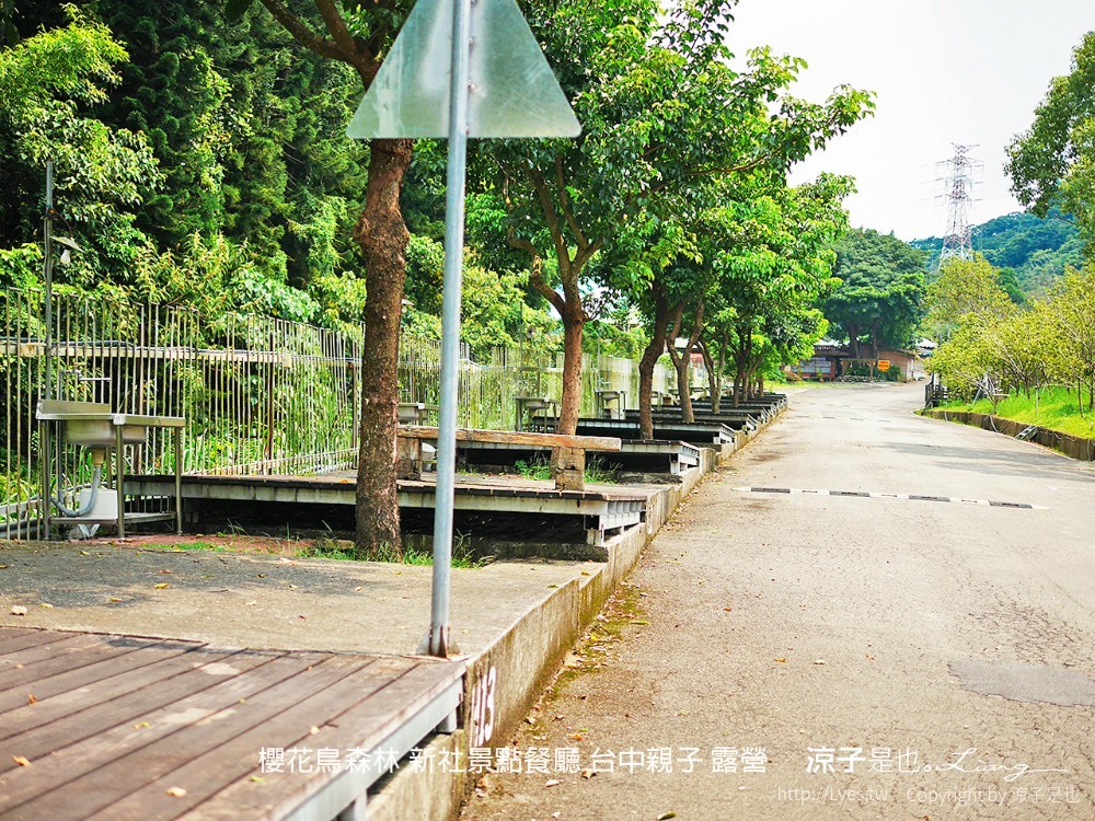 新社景點-櫻花鳥森林 迷你小火車x溜滑梯戲水區x鸚鵡放飛秀x露營 不止花好拍 親子旅遊也好玩！