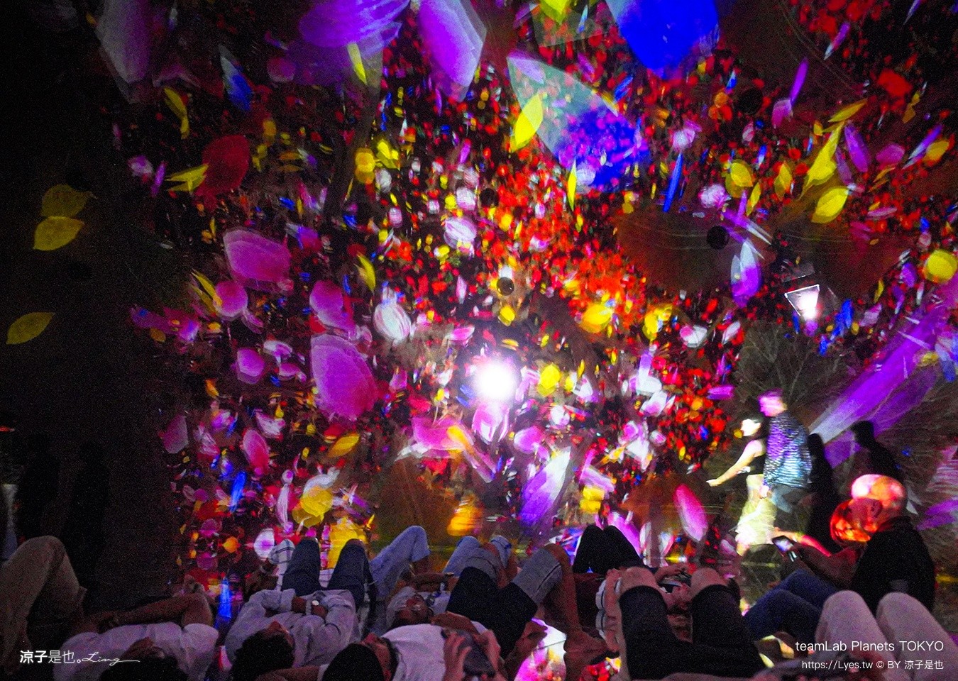 teamLab Planets TOKYO 東京teamLab 豐洲teamLab 東京景點 日本自由行