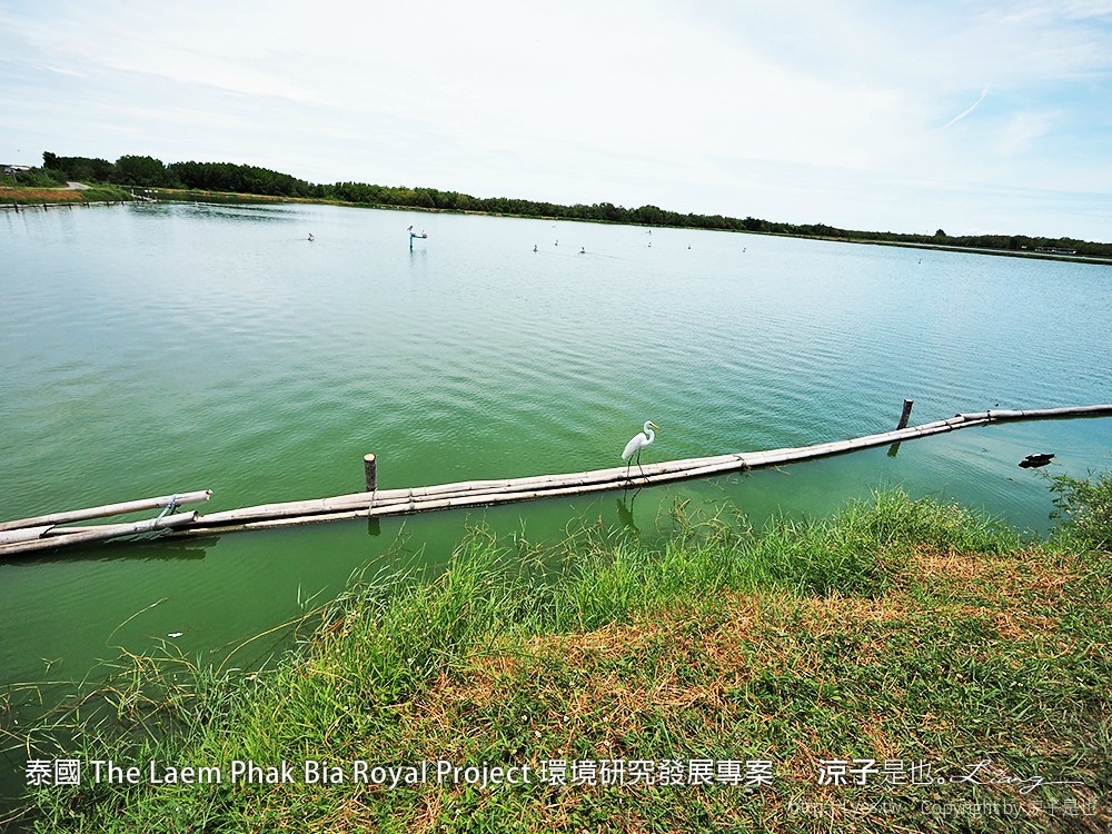 泰國 The Laem Phak Bia Royal Project 環境研究發展專案