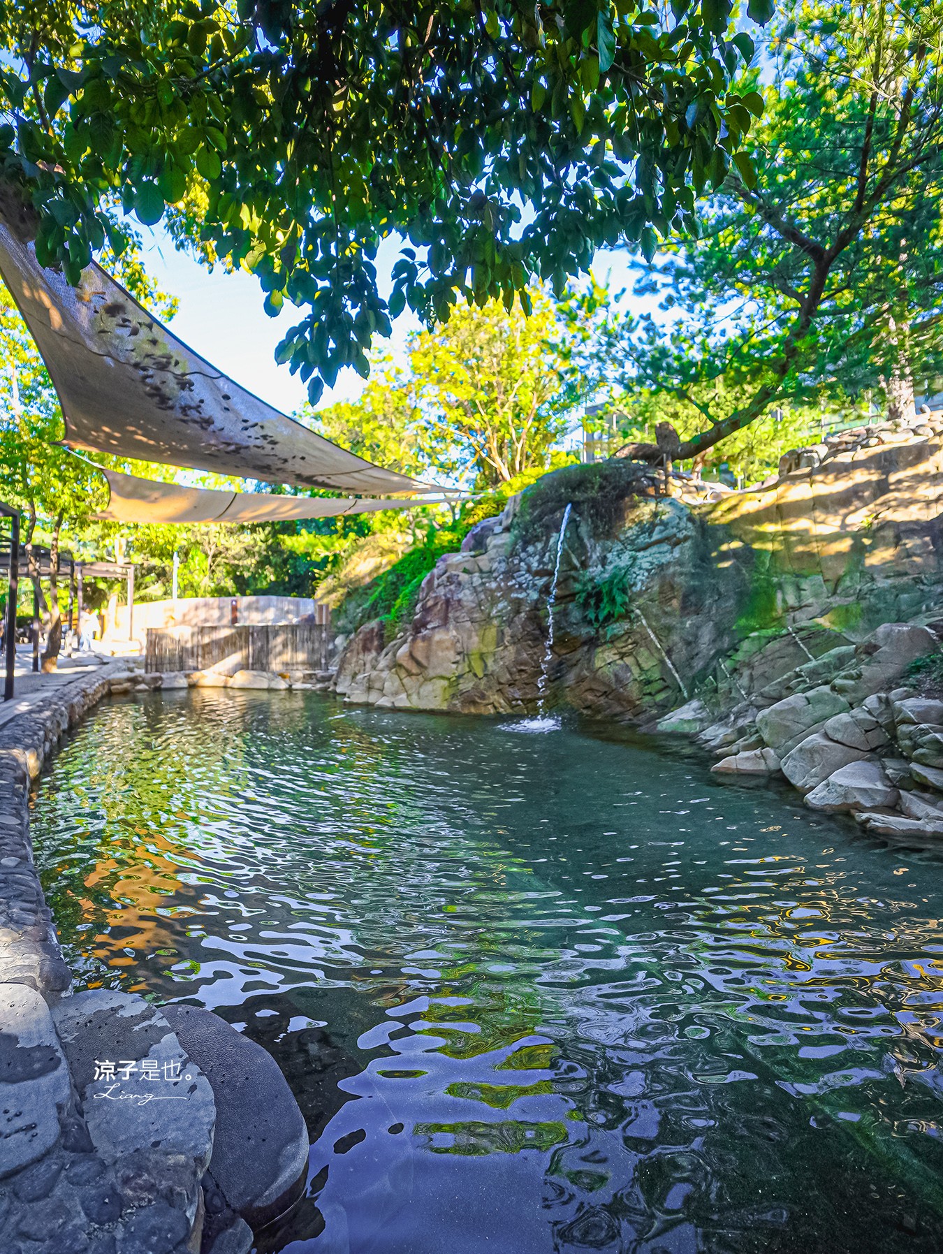 春秋山林 春水堂新品牌 南投新景點 親子景點 國姓美食 餐廳 南投一日遊 茶文化體驗 足浴 南投旅遊 ig打卡景點 chun chiou ville 