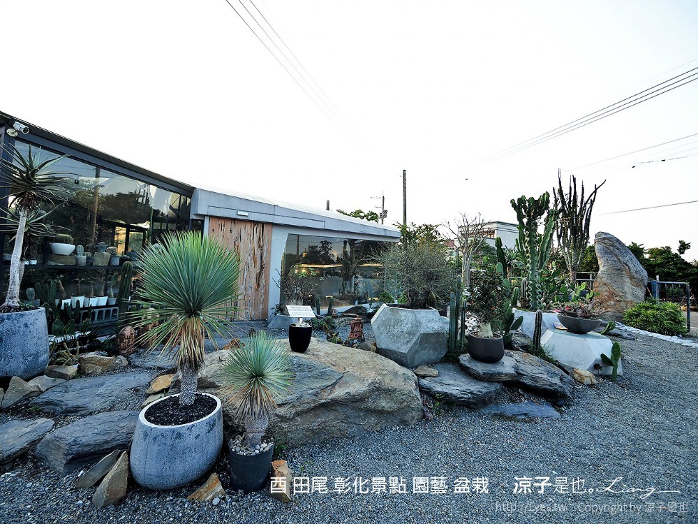 酉 田尾 彰化景點 園藝 盆栽