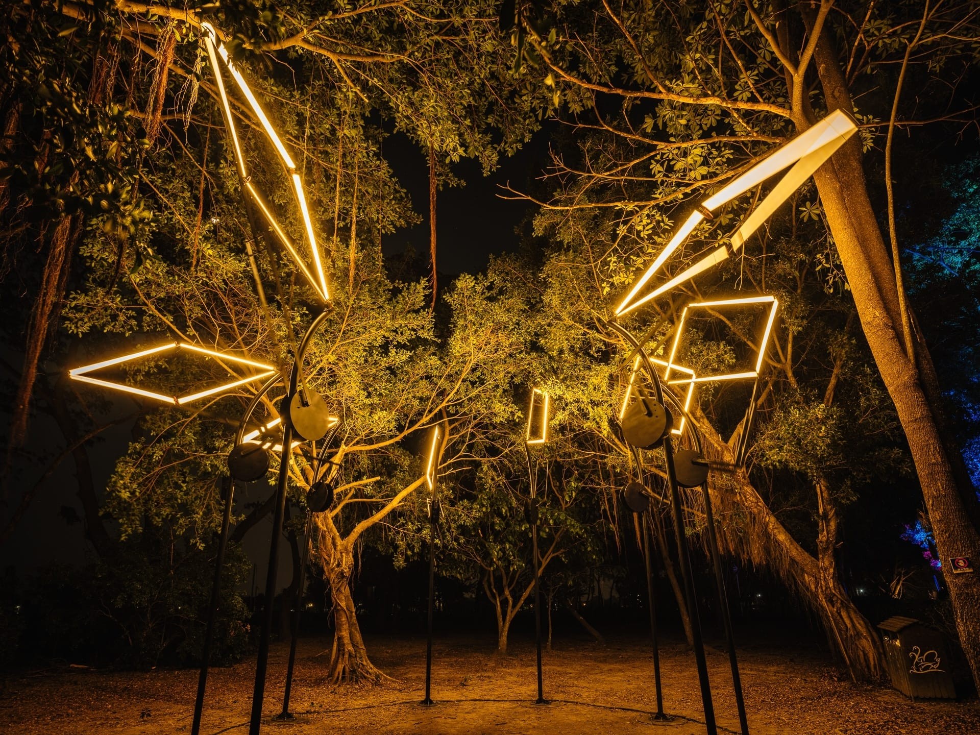 2024 新營波光節 台南 天鵝湖燈會 幾米藝術展 台南景點 新營景點 光影藝術燈會 交通