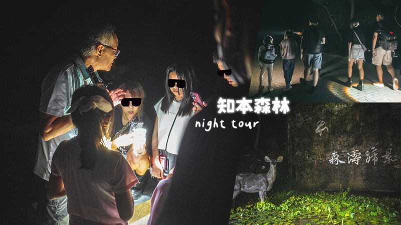 【台東】知本森林遊樂區 夜探知森導覽體驗！星空、生態~來趟獨特的夜訪森林之旅吧