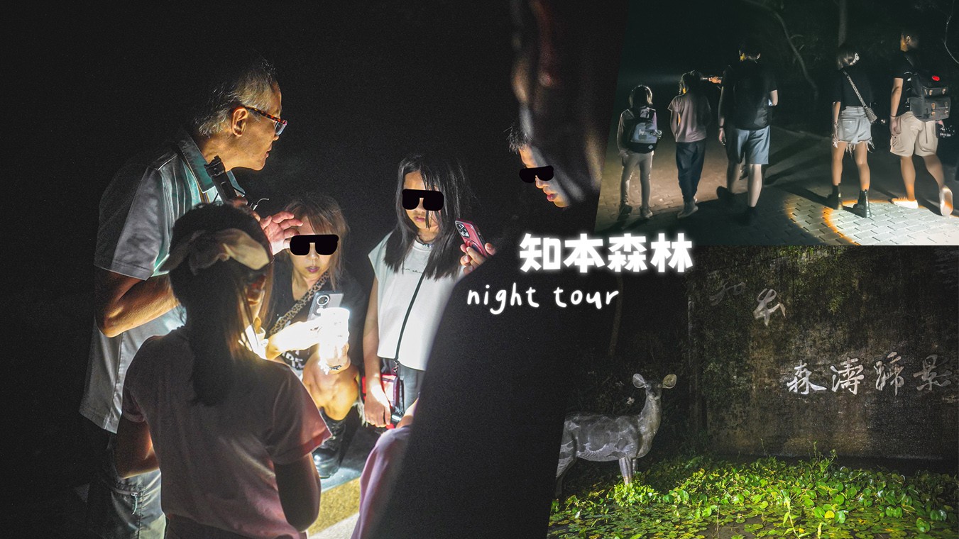知本森林遊樂區 台東 親子景點 夜探知森 夜間導覽 星象導覽 國家森林 台東景點 知本景點