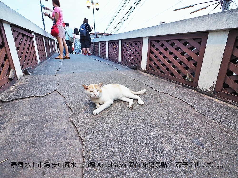 泰國 水上市場 安帕瓦水上市場 Amphawa 曼谷 旅遊景點
