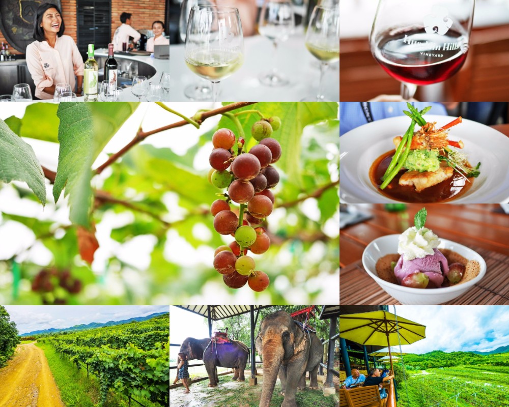 華欣 葡萄酒莊園 Hua Hin Hills Vineyard 華欣旅遊景點推薦