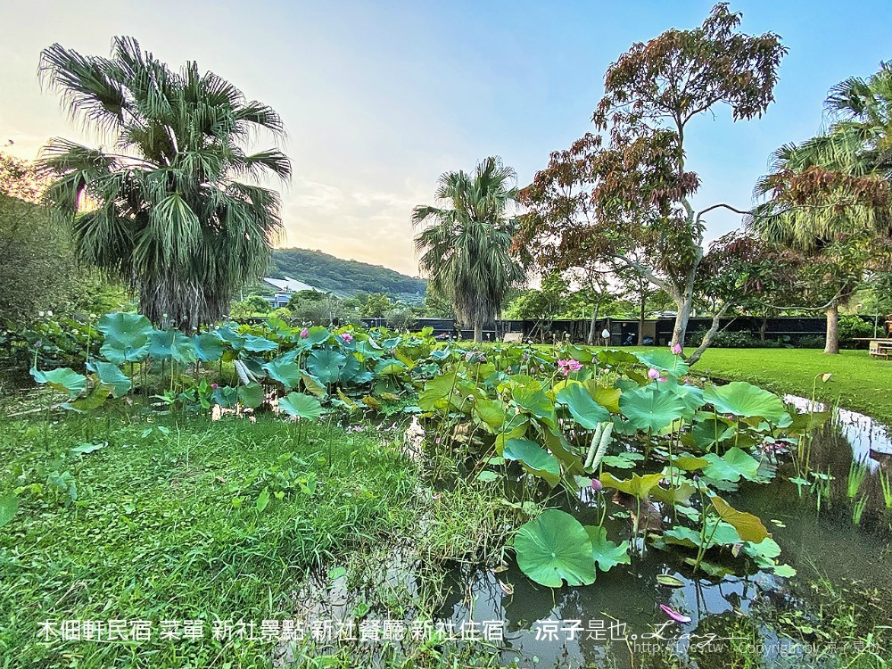 木佃軒民宿 菜單 新社景點 新社餐廳 新社住宿