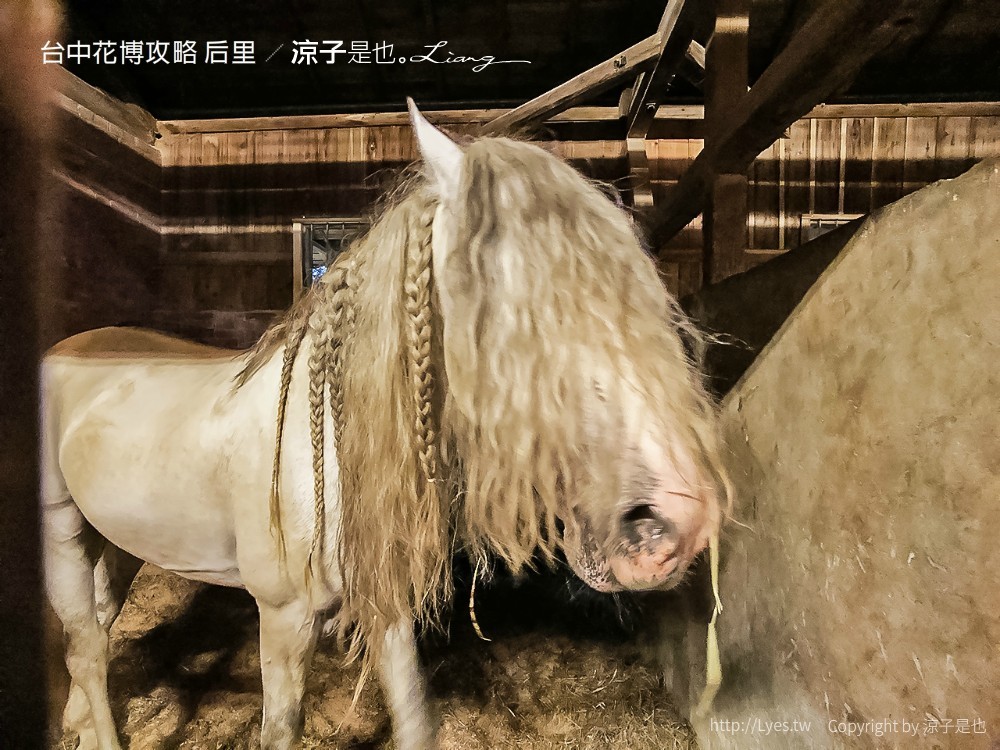 台中花博攻略 后里