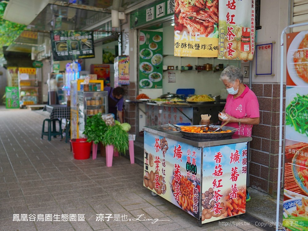 鳳凰谷鳥園生態園區 南投 親子景點 森林溜滑梯 賞鳥 DIY 鹿谷 步道 吊橋 瀑布