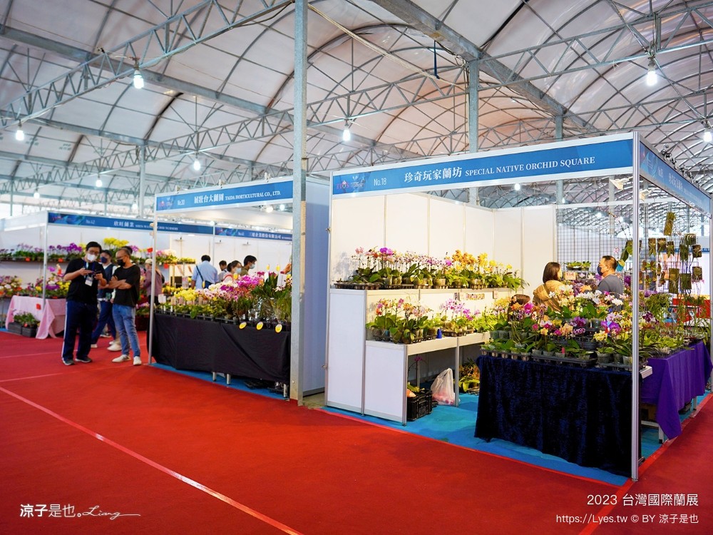 台灣國際蘭展 門票 2023時間 台南景點 魔境 恐龍 親子diy 必看亮點 台南限定蘭花