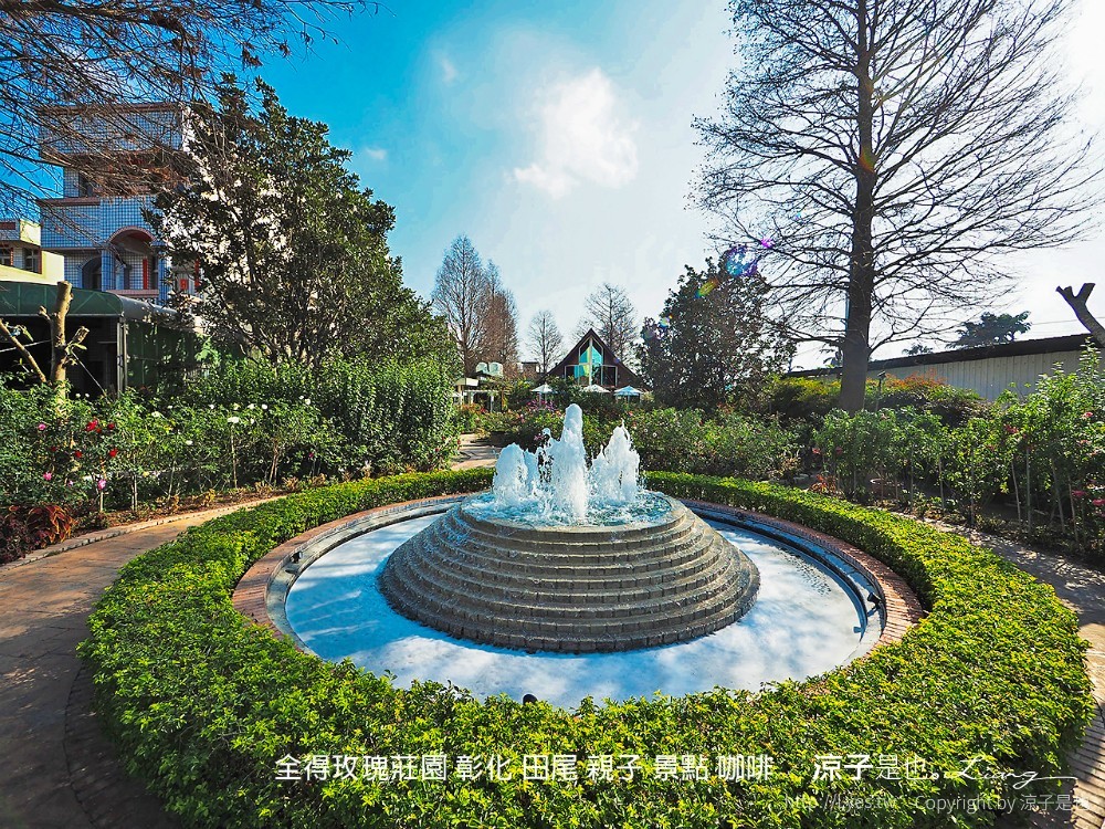 全得玫瑰莊園 彰化 田尾 親子 景點 咖啡