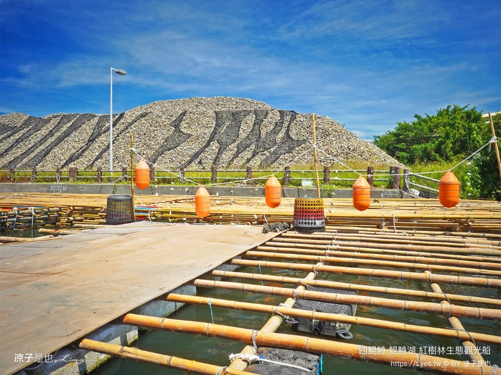 四鯤鯓鯤鯓湖紅樹林生態觀光船 台南親子景點 台南紅樹林 台南新景點 台南一日遊 生態旅遊 蚵殼diy體驗 導覽觀光船