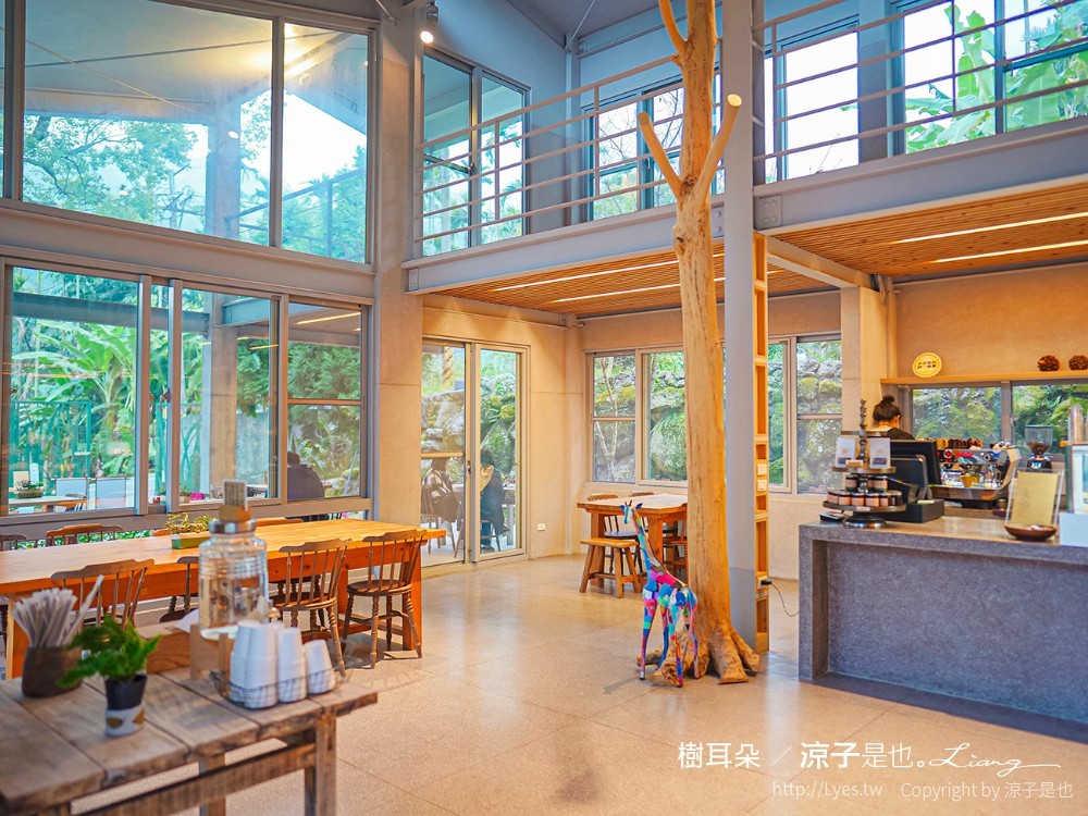 樹耳朵 菜單 台南關仔嶺 甜點咖啡館 景觀餐廳 白河 檸檬塔 假日限定 森林系