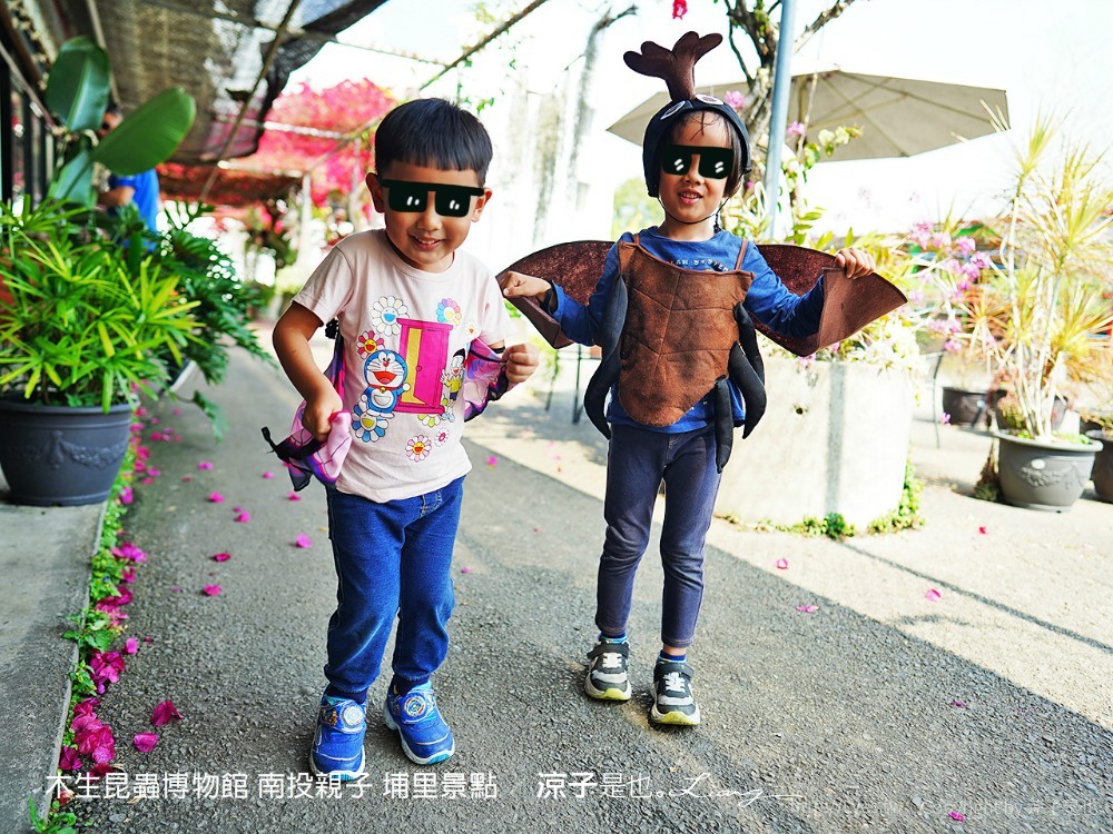 木生昆蟲博物館 南投親子 埔里景點