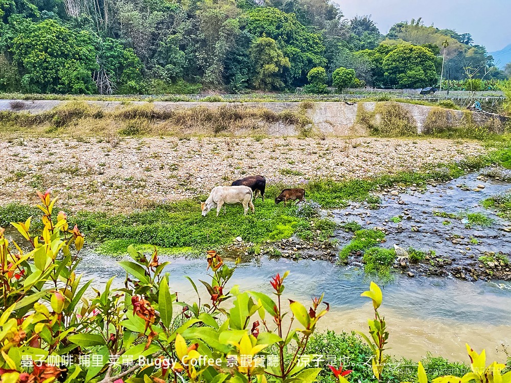 蟲子咖啡 埔里 菜單 buggy coffee 景觀餐廳