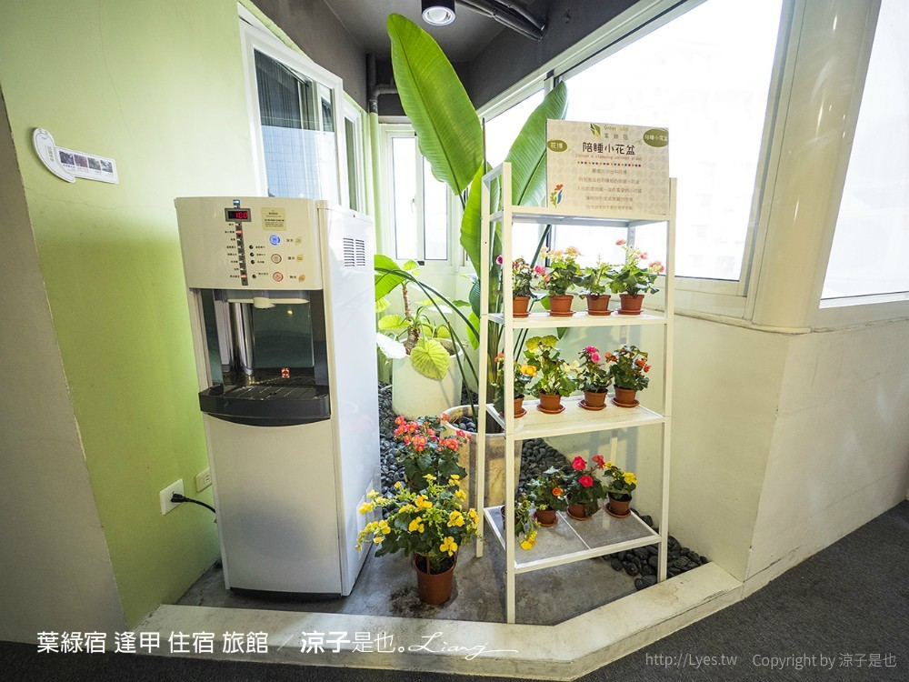 葉綠宿 逢甲 住宿 旅館