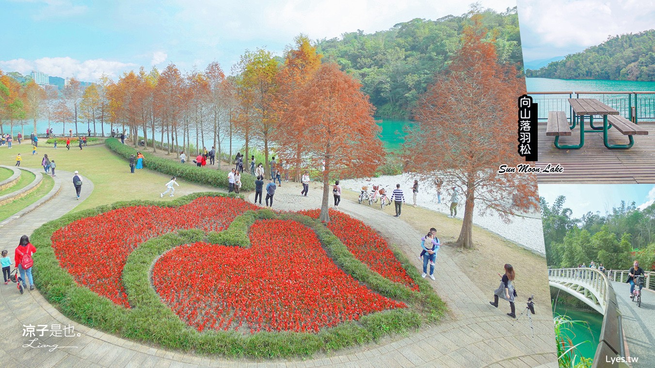 南投景點-向山落羽松 日月潭自行車道 CNN評世界最美10大自行車道 日月潭景點推薦！湖畔步道風景好夢幻呀~
