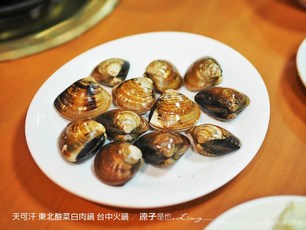 天可汗 東北酸菜白肉鍋 台中火鍋