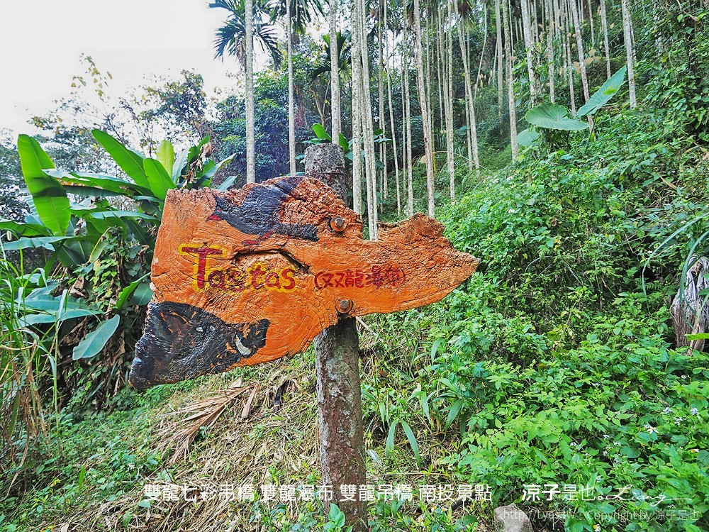 雙龍七彩吊橋 雙龍瀑布 雙龍吊橋 南投景點