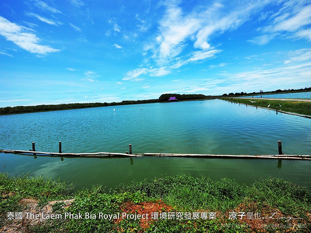 泰國 The Laem Phak Bia Royal Project 環境研究發展專案