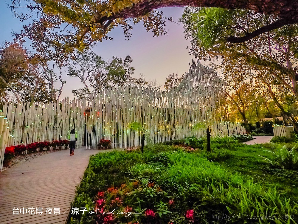 台中花博 夜景