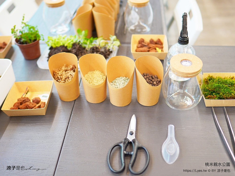 桃米親水公園 2024埔里親水節 南投埔里景點 免門票戲水池 親子玩水景點 山系親水公園 親子DIY