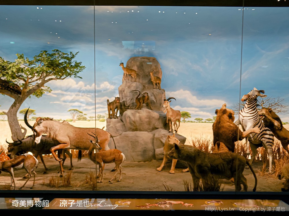 南博ONE 慢遊手札 2022臺南博物館節 奇美博物館 門票優惠 山上花園水道博物館 交通