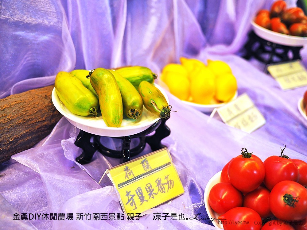 金勇DIY休閒農場 新竹關西景點 親子