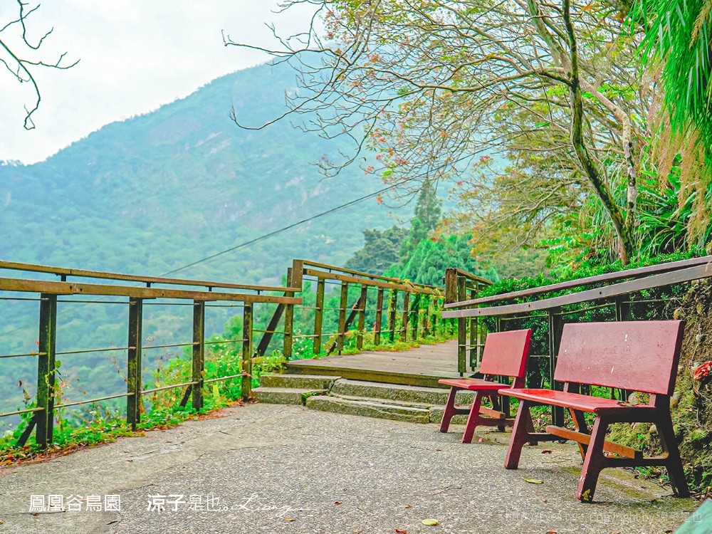 鳳凰谷鳥園生態園區 南投 親子景點 森林溜滑梯 賞鳥 DIY 鹿谷 步道 吊橋 瀑布