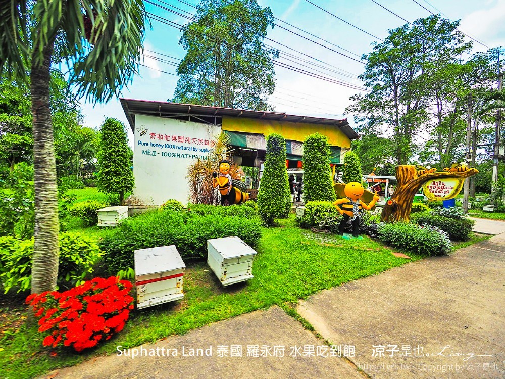 suphattra land 泰國 羅勇府 水果吃到飽