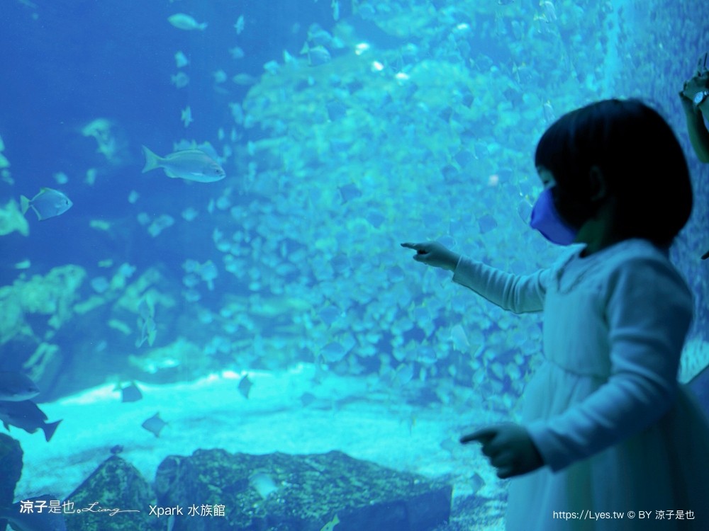 xpark水族館 門票優惠 桃園 親子景點 最新攻略 必看展區 美食餐廳 交通 停車 住宿