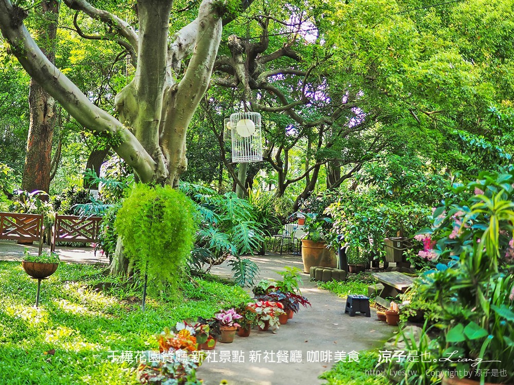 千樺花園餐廳 新社景點 新社餐廳 咖啡美食