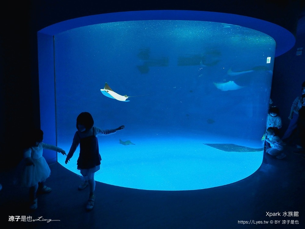 xpark水族館 門票優惠 桃園 親子景點 最新攻略 必看展區 美食餐廳 交通 停車 住宿