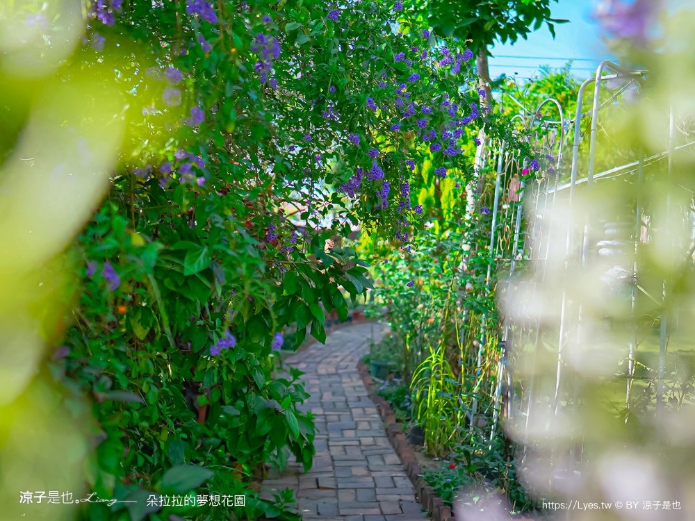 朵拉拉的夢想花園 菜單 嘉義景觀餐廳 東石美食 歐式建築 火鍋 豬腳排餐 嘉義庭園餐廳
