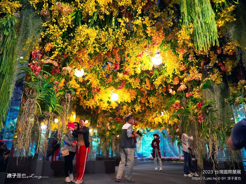 台灣國際蘭展 門票 2023時間 台南景點 魔境 恐龍 親子diy 必看亮點 台南限定蘭花