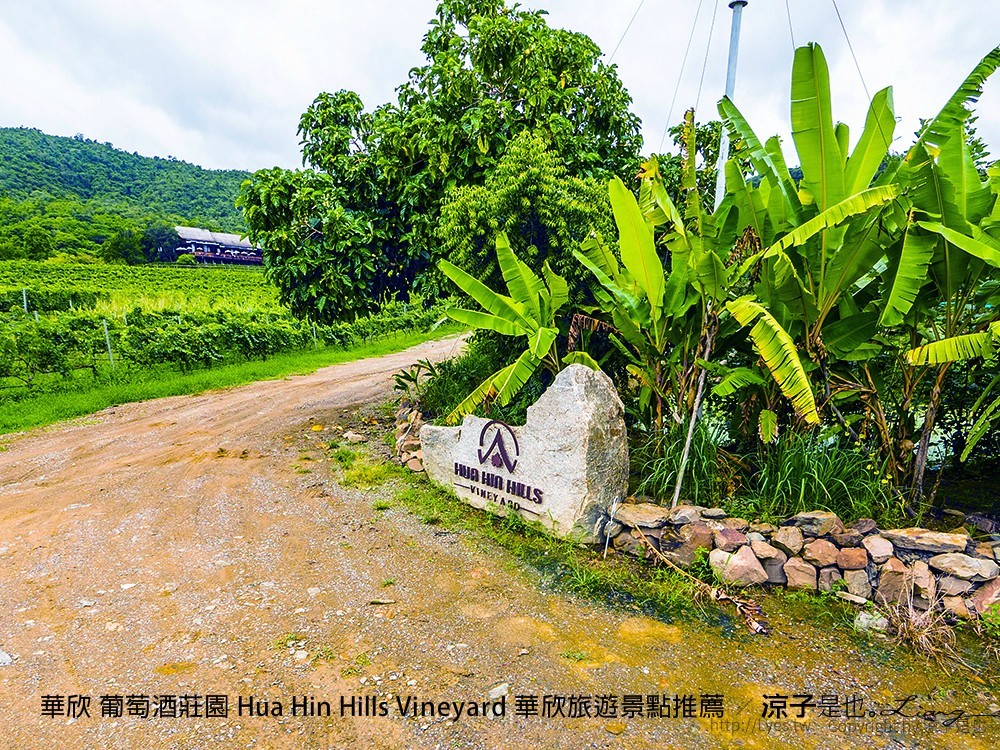 華欣 葡萄酒莊園 Hua Hin Hills Vineyard 華欣旅遊景點推薦