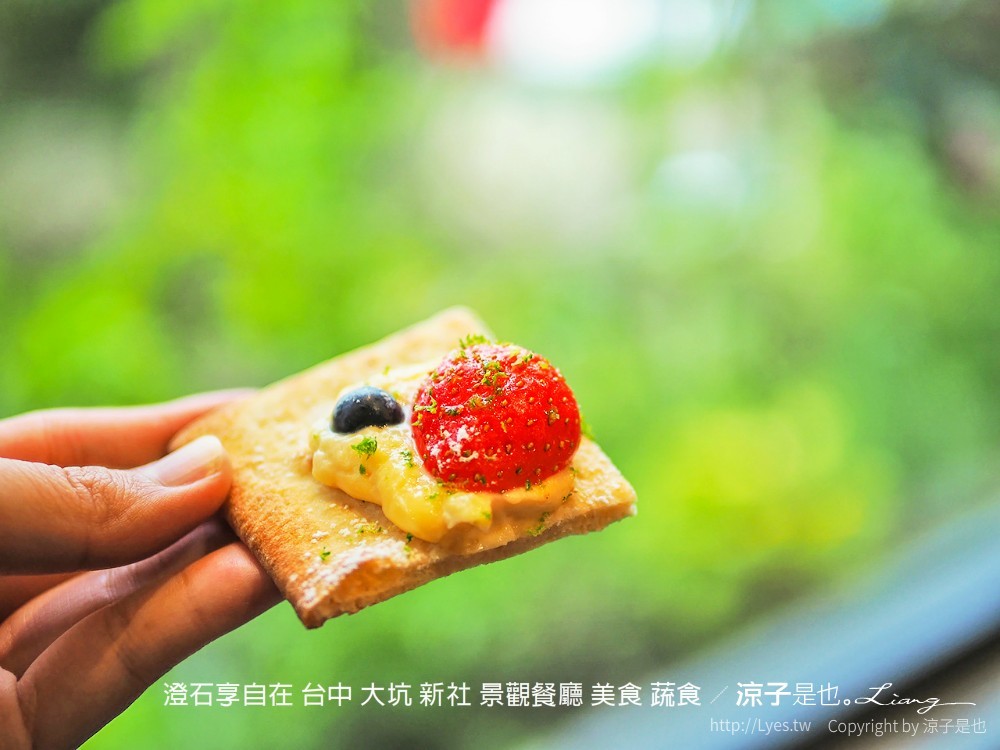 澄石享自在 台中 大坑 新社 景觀餐廳 美食 蔬食