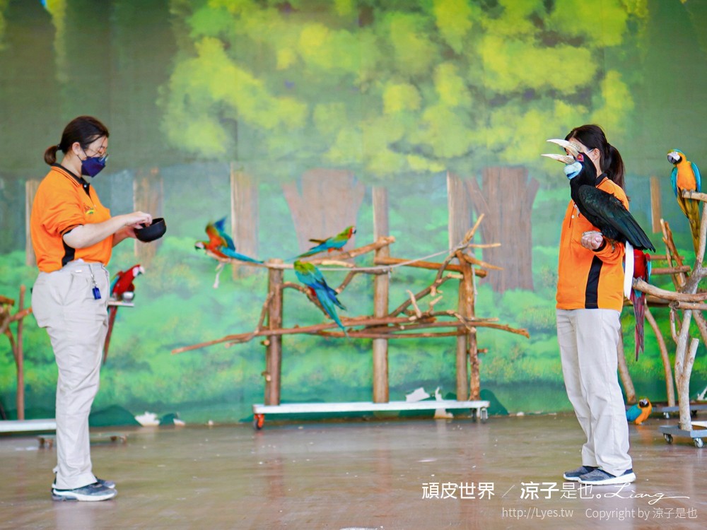 頑皮世界野生動物園攻略 門票優惠 台南親子景點 南台灣動物園 水豚君 長頸鹿 遊樂設施 戲水池