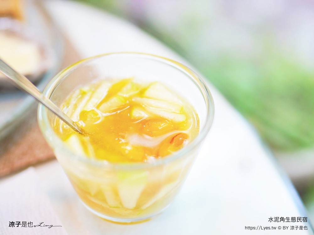 埔里住宿 水泥角生態民宿 南投埔里民宿 包棟民宿 生態導覽 房型 早餐 晚餐 桃米親水公園住宿 一泊二食